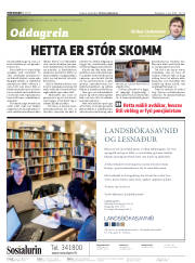 Síða 2