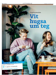 Síða 12