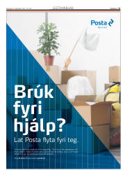 Síða 17