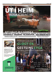 Síða 19
