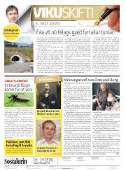 Síða 2