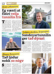Síða 12