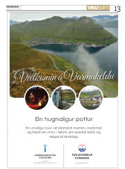 Síða 13