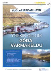 Síða 15