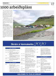 Síða 17