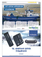 Síða 19