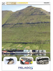 Síða 20