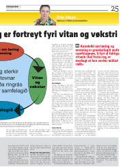 Síða 25