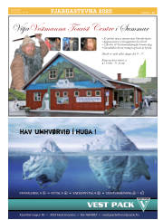 Síða 17