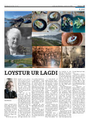 Síða 21