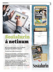 Síða 3