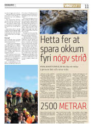 Síða 11