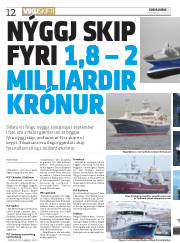 Síða 12