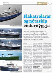 Síða 13