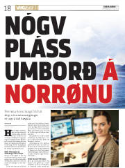 Síða 18