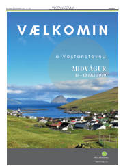 Síða 9
