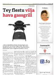 Síða 13