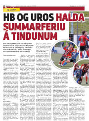 Síða 20