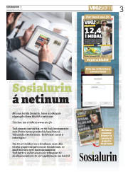 Síða 3