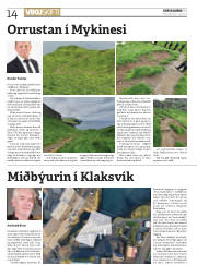 Síða 14