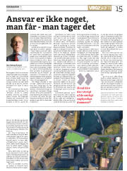 Síða 15