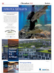Síða 12