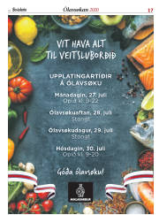 Síða 17