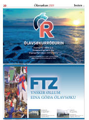 Síða 20