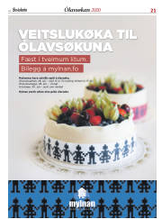 Síða 21