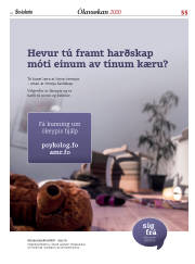 Síða 55