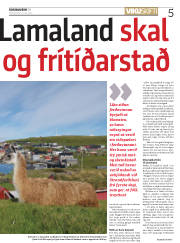 Síða 5