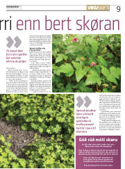 Síða 9
