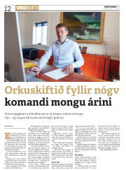 Síða 12