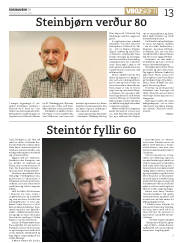 Síða 13