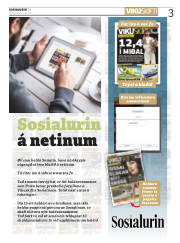 Síða 3