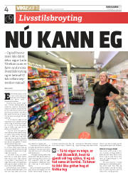 Síða 4