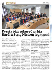 Síða 18