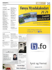 Síða 25