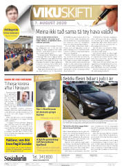 Síða 2