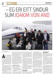 Síða 6
