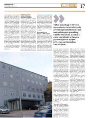 Síða 17