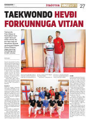 Síða 27