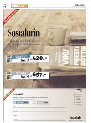 Síða 6