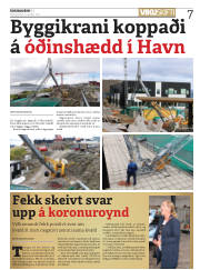 Síða 7