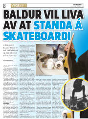 Síða 8