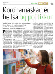 Síða 11