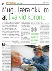 Síða 14