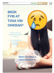 Síða 17
