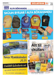 Síða 21
