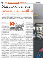 Síða 22